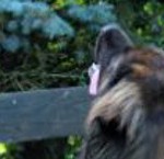 Headerschnell