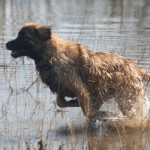 Bei MIka am See 2403 329